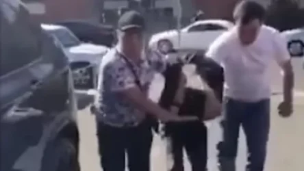 ՏԵՍԱՆՅՈՒԹ. 16 և 19 տ. եղբայրները նախկինում անցել են մի քանի քրգործով