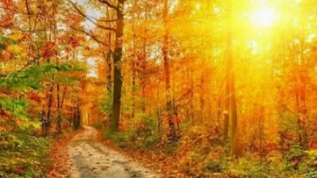 Առաջիկա օրերի եղանակը Հայաստանում