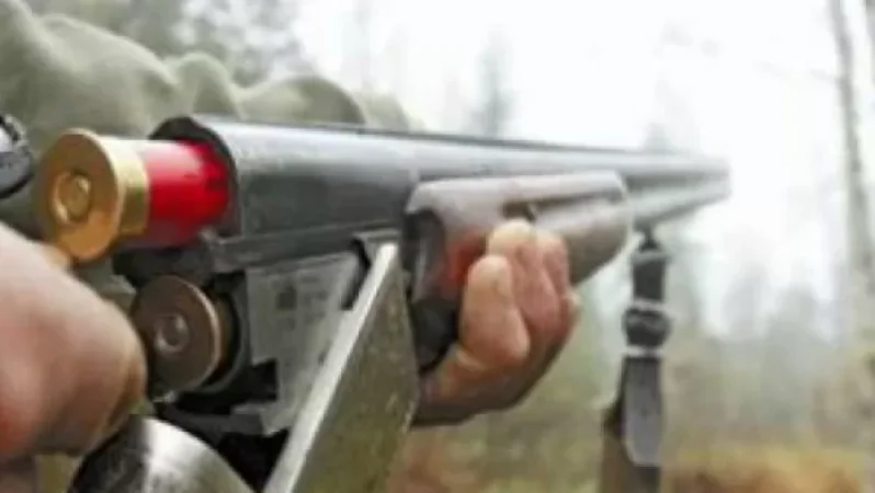 Օհանավանում կրակել են շանը, վնասել են նաև գյուղի կանանցից մեկին