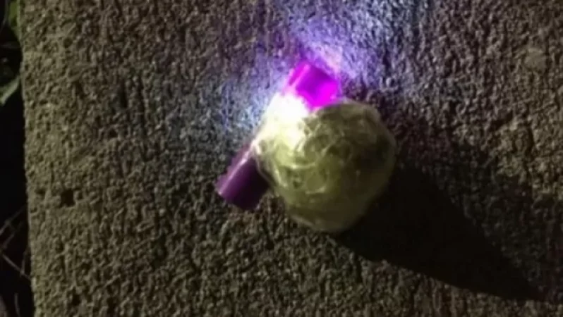 Մեքենայից մարիխուանան նետել են «Կոշ» ՔԿՀ