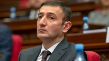 Պատգամավորների աշխատավարձերը չեն բարձրացել. Թունյան