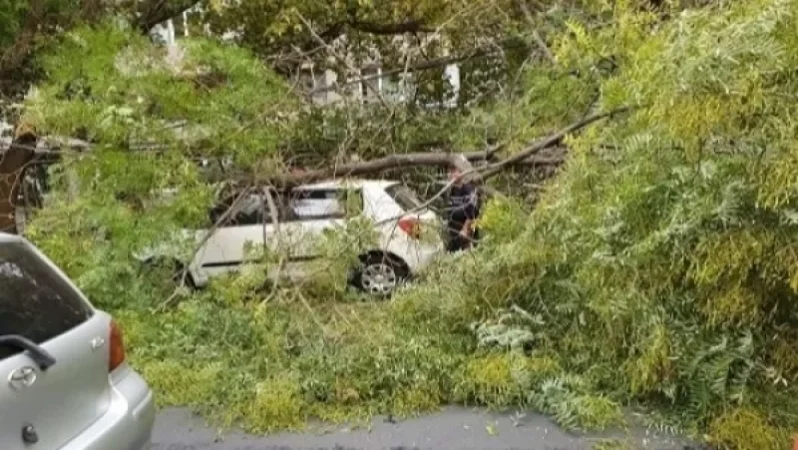 Ծառի ճյուղը պոկվել և ընկել է ավտոմեքենայի վրա` վնասելով այն