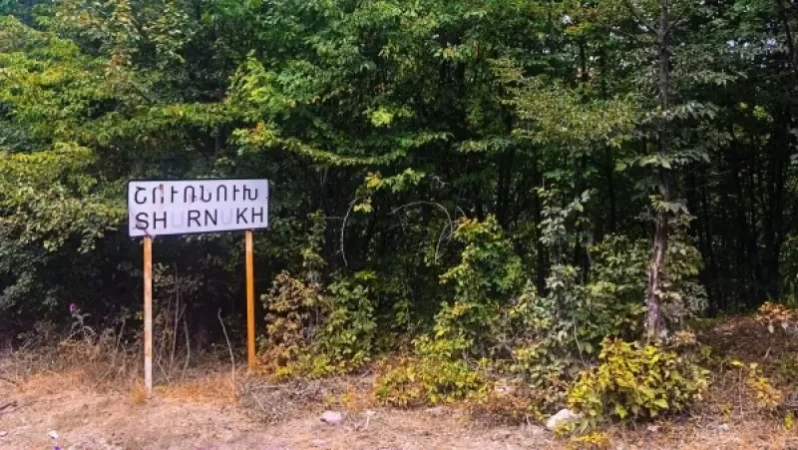 Շուռնուխ գյուղում ապօրինի ծառահատումներ են եղել