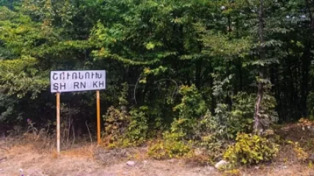 Շուռնուխ գյուղում ապօրինի ծառահատումներ են եղել