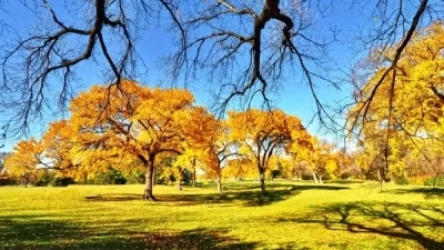 «Ինձ թվում է Բաղդադում եմ ապրում». Գագիկ Սուրենյան