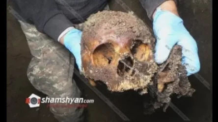 Ոստիկանությունը տեսանյութ է հրապարակել 14 տարի առաջ դաժան սպանության մասին