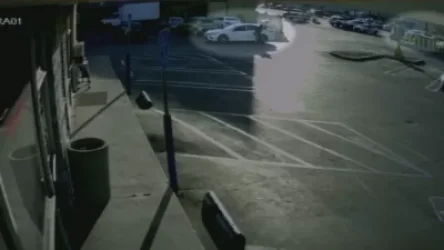 ՏԵՍԱՆՅՈՒԹ․ Հոլիվուդում փոխհրաձգություն է տեղի ունեցել հայերի միջև