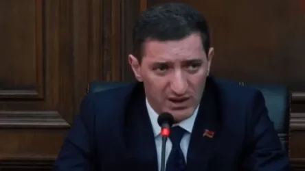 ՏԵՍԱՆՅՈՒԹ. Հիմա պատգամավոր ունենք՝ ավելի շատ թռնում է, քան քայլում. Պետրոսյան