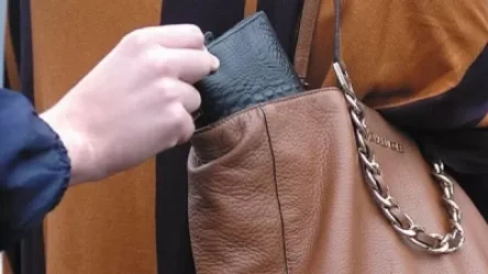 43-ամյա կինը մեկ այլ կնոջ պայուսակից գողացել է 1000 դոլար