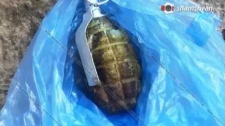 Մարտաֆիլմ հիշեցնող դեպք Վայոց ձորում․ տղամարդը փորձել է նռնակ պայթեցնել