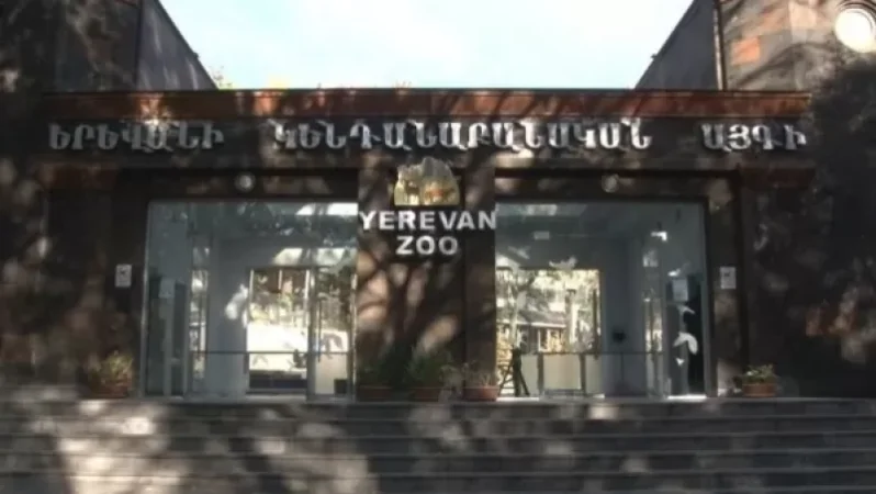 Կենդանաբանական այգու աշխատակիցները դիմում չեն ներկայացրել