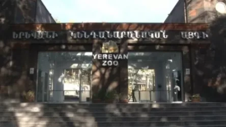 Կենդանաբանական այգու աշխատակիցները դիմում չեն ներկայացրել