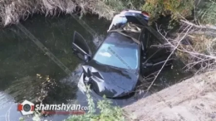 22-ամյա վարորդը թափառող շներին չհարվածելու համար կորցրել է կառավարումը և հայտնվել Հրազդան գետում