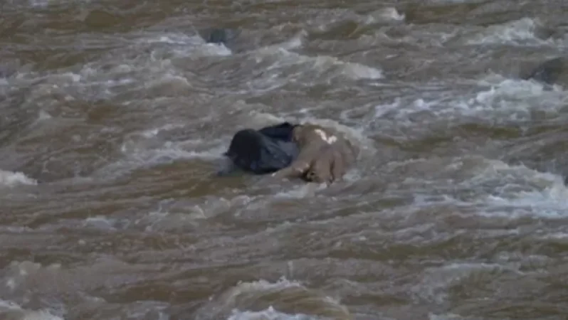 Ջրատարում քաղաքացու դի է նկատվել