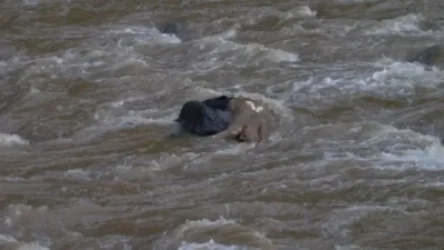 Ջրատարում քաղաքացու դի է նկատվել