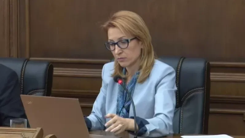 Պոպուլիզմը 10 միլիոն ծառի մասին խոսելը և բյուջեում չնախատեսելն է․ Թանդիլյան