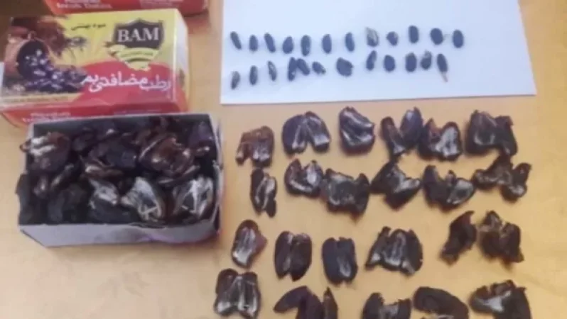 «Արթիկ» ՔԿՀ-ում հայտնաբերվել է խոշոր չափի թմրամիջոց՝ արմավի կորիզների փոխարեն