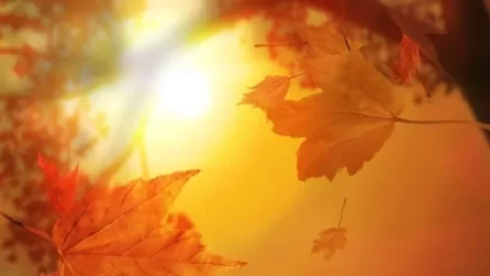 Առաջիկա օրերի եղանակը Հայաստանում