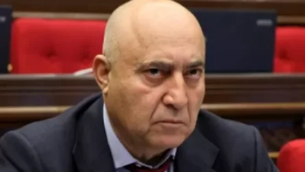 «Ծաղիկ Ռուբոյի» ընտանիքի կողմից «Դեյզի» այգին սեփականաշնորհելու փաստի վերաբերյալ քրգործ է հարուցվել