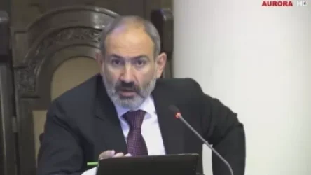 ՏԵՍԱՆՅՈՒԹ. 1000 ընտանիքի փողը տալիս ենք, կովը տալիս ենք, կերը տալիս ենք, հաղթահարեք ձեր աղքատությունը. վարչապետ