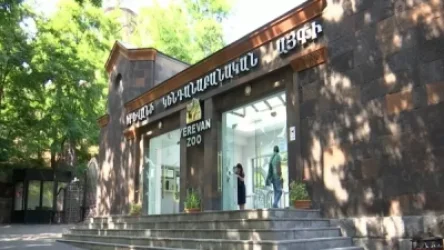 Կենդանաբանական այգի նորից շուն է մտել. ինչ է պատրաստվում անել Քաղաքապետարանը