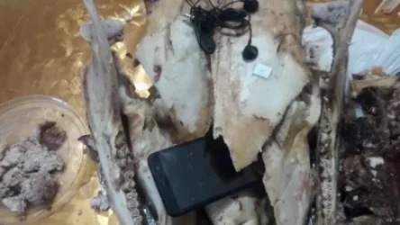 Պարզվել է «քյալլայի» միջոցով դատապարտյալին իրեր փոխանցողի ինքնությունը