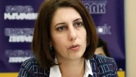 Սոֆյա Հովսեփյանն ստացել է Ամուլսարի վերաբերյալ Շրջակա միջավայրի նախարարության պատասխանը