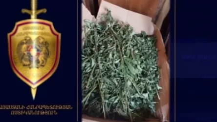 ՏԵՍԱՆՅՈՒԹ․ 4 կգ մարիխուանա` վանաձորցի 37-ամյա բնակչի տանից