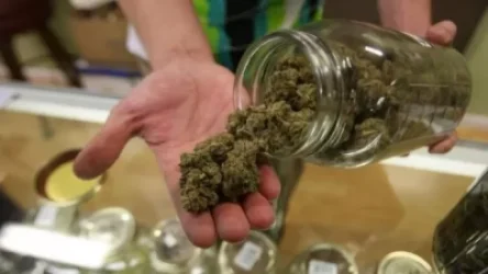 4 կգ մարիխուաննա, կանեփի բույսեր. ինչ են հայտնաբերել ոստիկանները վանաձորցի տղամարդու տանը