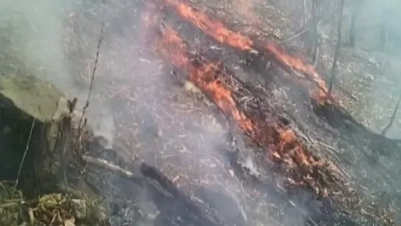 Հեռուստաաշտարակի հետնամասում հրդեհ է բռնկվել