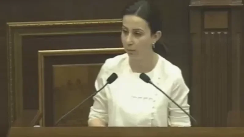 Տվեցիք հայոց լեզվի դասեր, որի կարիքը չունենք, փոխարենը ես ձեզ կտամ մարդու իրավունքի դասեր.  Կարապետյանը` Զոհրաբյանին