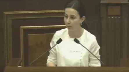 Տվեցիք հայոց լեզվի դասեր, որի կարիքը չունենք, փոխարենը ես ձեզ կտամ մարդու իրավունքի դասեր.  Կարապետյանը` Զոհրաբյանին