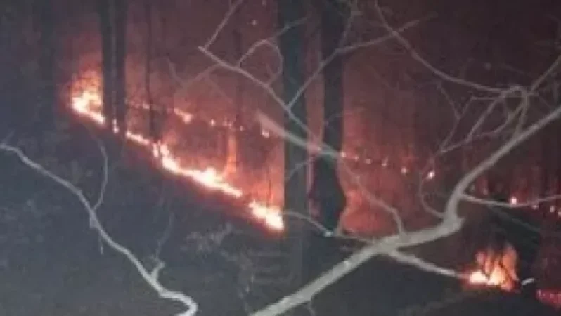 «Դիլիջան ազգային պարկում» հրդեհ է բռնկվել․ 5 ժամ է պահանջվել այն մարելու համար