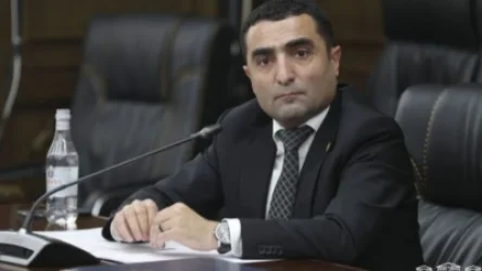 Պետրոսյանը՝ Վարդաշեն ենթակայանի և Ամանորին տեղի ունեցած հոսանքազրկումների մասին