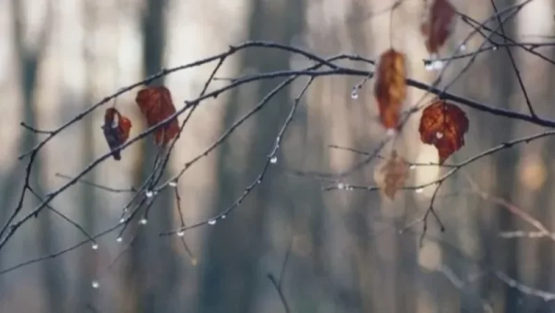 Հանրապետությունում առաջիկա օրերի եղանակը