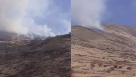 Հրդեհ Արայի լեռան լանջին