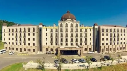 Ավինյանը գործարարներին կոչ արեց մասնակցել «Գոլդեն Փելիսի» աճուրդին․ հայտնի է մեկնարկային արժեքը