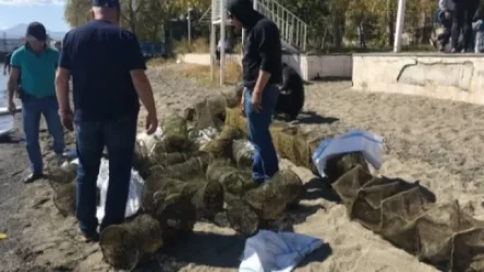 Սևանում խեցգետնի որսը կկանոնակարգվի