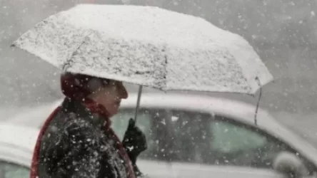 Սպասվում են տեղումներ