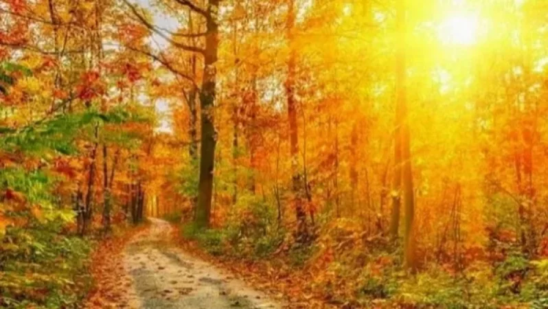 Առաջիկա օրերի եղանակը Հայաստանում