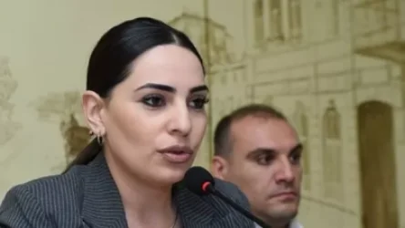 Քաղաքապետը արձակուրդից հետո նորից արձակուրդ է մեկնել. տարօրինակ է. Վարդանյան