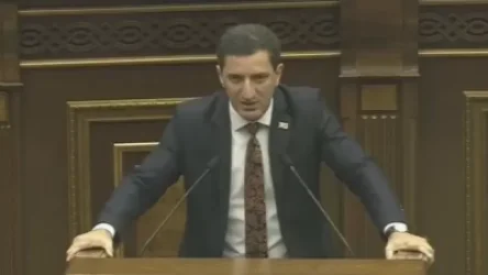 Պարո՛ն Մարուքյան, մի սրտնեղեք, իմ ոչ մի նախագիծ չի անցնում, հիմա էլ թող Ձերը չանցնի էլի.  Պետրոսյան