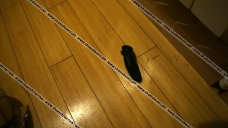 Նոր մանրամասներ Գլենդել Հիլզ թաղամասում տեղի ունեցած միջադեպից