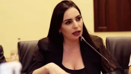 Խորհուրդ կտայի պահուստային ֆոնդից տրամադրվող այդ 271 մլն դրամն ուղղել Գյումրի. այդ գումարով քանի՞ տնակի հարց կլուծվեր. Թեհմինա Վարդանյան