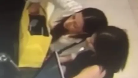 ՏԵՍԱՆՅՈՒԹ. Որոնվում են ավտոմեքենայից գողություն կատարած կանայք