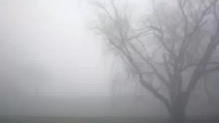 Առաջիկա օրերի եղանակը ՀՀ տարածքում