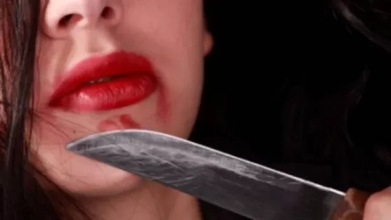 Վարդենիսում կինը դանակահարել է ամուսնուն