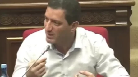 ՏԵՍԱՆՅՈՒԹ. Ասում եք՝ մանիպուլյացիա ենք անում, բա ի՞նչ անենք. Պետրոսյանի ելույթը ծիծաղեցրեց պատգամավորներին