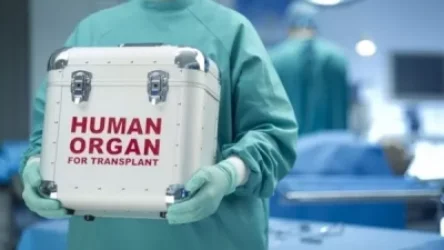 Նոր Զելանդիան հրաբխի ժայթքումից հետո 1,2 մլն քառ սանտիմետր դոնորական մաշկ Է խնդրել ԱՄՆ-ից