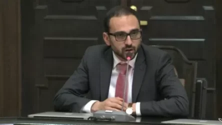 Պարոն վարչապետ, ձեր նշանակմամբ դարձել եմ Կանանց հարցերով խորհրդի նախագահ և դա բուռն քննարկումների առիթ է տվել. Ավինյան